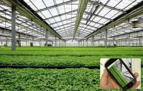 物聯網卡智慧農業解決方案