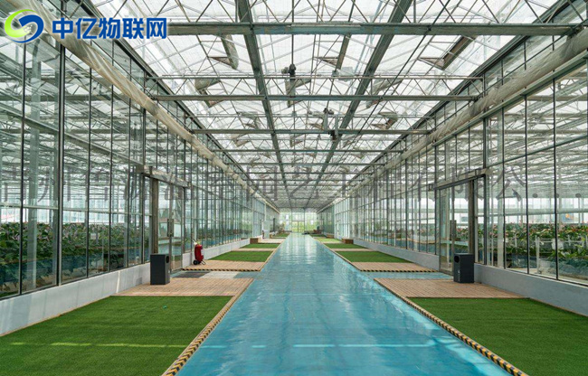 智慧農業:農業物聯網解決方案之智能大棚系統