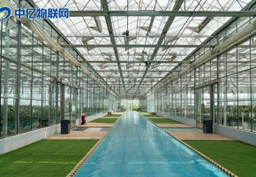 智慧農業:農業物聯網解決方案之智能大棚系統