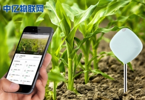 物聯(lián)網(wǎng)卡運用在農(nóng)作物管理上會怎么樣？