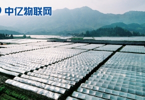 移動物聯卡讓農業物聯網智能化!