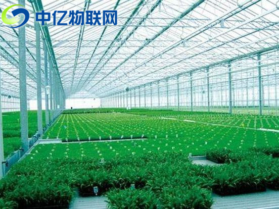 溫濕度傳感器用于智能農業的監測中