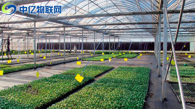 生產(chǎn)監(jiān)控設(shè)備流量卡:物聯(lián)網(wǎng)讓農(nóng)業(yè)生產(chǎn)精細(xì)化! 生產(chǎn)監(jiān)控設(shè)備流量卡:物聯(lián)網(wǎng)讓農(nóng)業(yè)生產(chǎn)精細(xì)化!