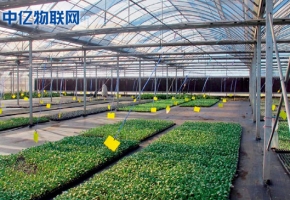 生產監控設備流量卡：物聯網讓農業生產精細化！