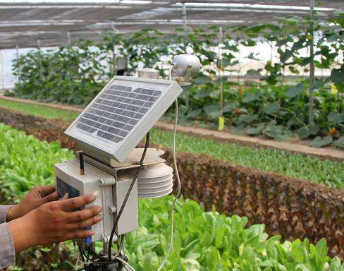 智慧農業物聯網流量卡：遠程調控設備 生態環境信息自動檢測！