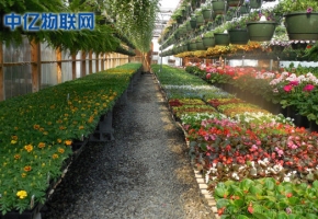 電信物聯(lián)卡是如何應(yīng)用到智慧農(nóng)業(yè)大棚的？