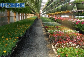 物聯網卡在農業物聯網中的四大應用！