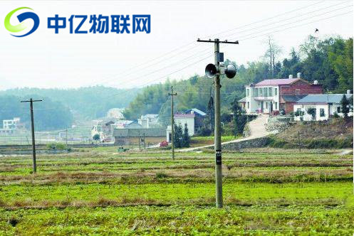 應急廣播的村村響物聯卡在哪采購？