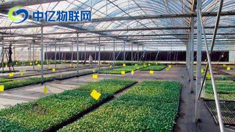 物聯卡智慧農業提高農業生產效率 物聯卡智慧農業提高農業生產效率