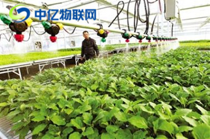 移動物聯卡+智能灌溉系統 解決水資源短缺問題