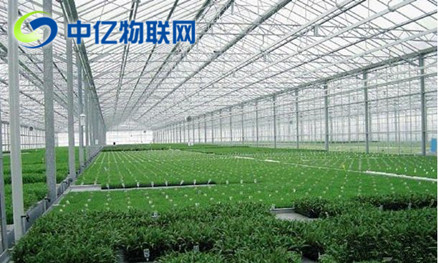 農業大棚監控物聯卡 農業大棚監控物聯卡