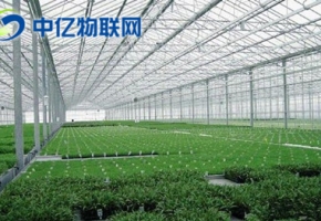 物聯卡推動農業進步 遠程大棚監控提高農業生產效率