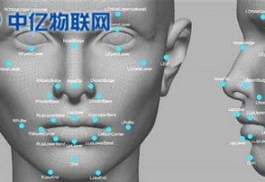 物聯網卡怎么實現人臉識別系統？