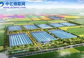 農業物聯網是如何實現農業生產精致化？