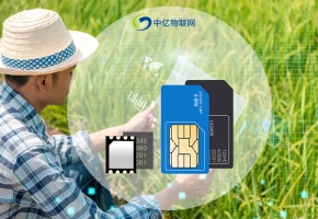 物聯網技術助力農業實現“科學種植、綠色發展”！